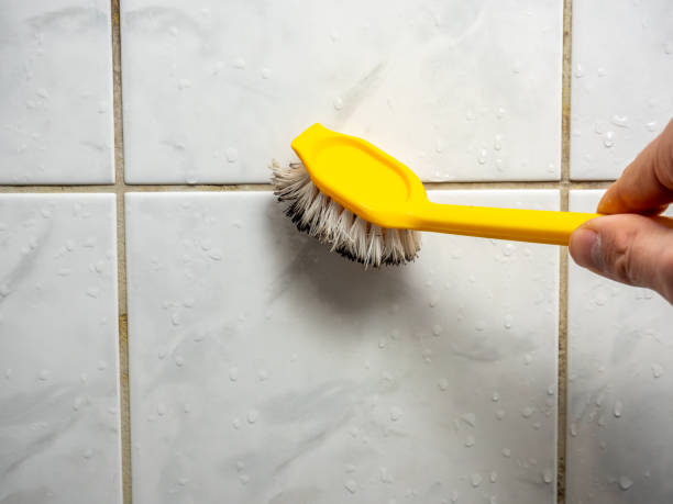 Best Localized Mold Remediation (e.g., coastal areas, humid climates) in Kelso, WA